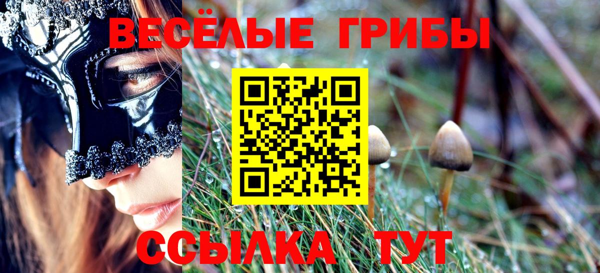 Галлюциногенные грибы мицелий Феодосия