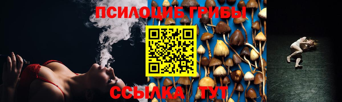 Феодосия  Псилоцибиновые грибы Magic Shrooms  Вход с VPN  Псилоцибиновые грибы Psilocybine cubensis 